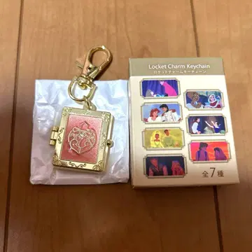 로켓 참 키체인 오로라 공주