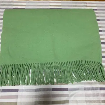 아소스메레 롱 머플러 라이트 그린