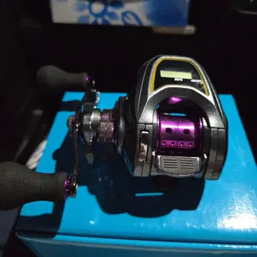 다이와 라이트 SW X IC L