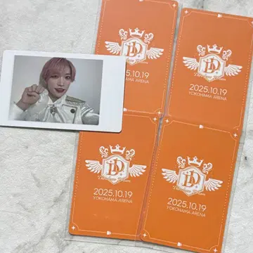 팬더드래곤 타이거 해피카 폴라로이드 트레이딩 카드