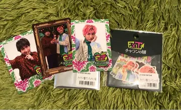 EXIT 라이브 굿즈 차란의 정원 플레이크 씰 폴라로이드