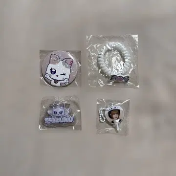 이이다 시즈쿠 캡슐 토이 4점 세트