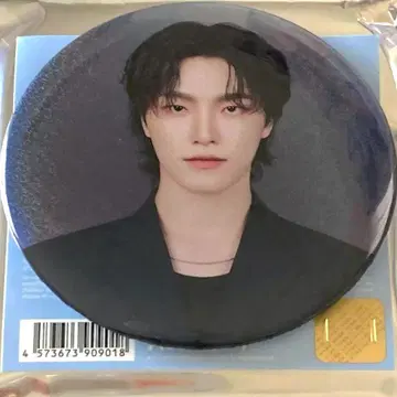 SEVENTEEN NEW 캔뱃지 디노