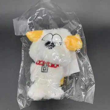 스와군 ONE N' ONLY 2025 투어 키