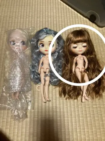 커스텀하다 고장난 인형 1체 (오른쪽)