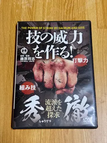 기술의 위력을 만든다! 타격력 DVD 슈토 후지와라 마사시