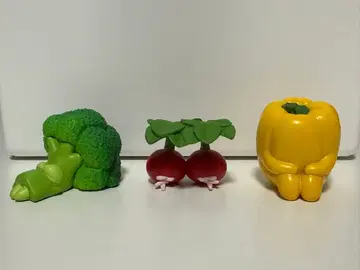 기다림 채소 편 아삭한 시나채