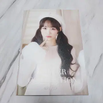 오토시마 리사 evelyn 카탈로그 이코라부 이퀄러브 리사짱