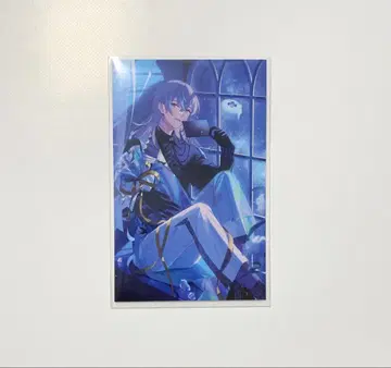 니지산지 호시미치 쇼 노스탤지어 2025