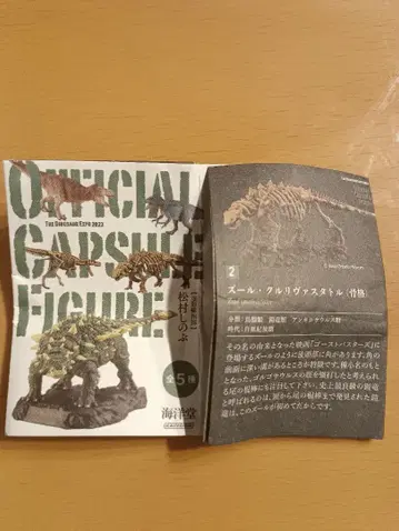 공룡박람회 2023 피규어 쥴 크루리바스타토르 전신 골격