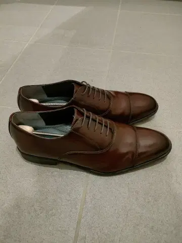 다크 브라운 가죽 드레스 슈즈 (슈키퍼 세트)