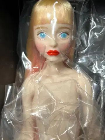 오다니 미유키 체리짱 VAIEE 베 미사용 새상품