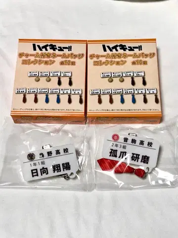 하이큐!! 참 포함 네임 배지 컬렉션 히나타 쇼요 코즈메 켄마 세트