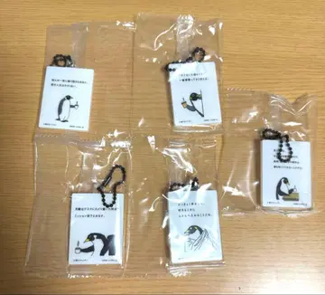 펭귄 아크릴 참 세트 1