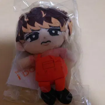 [ 미개봉 ] 스노치루 누이 무카이 코지