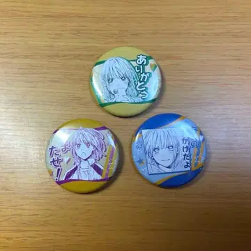 푸른상자 컬렉션 캔뱃지 푸치 사슴노 치나 푸치 캔뱃지 치나