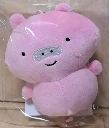 AMPTAK 케차 가로로 날아다니는 작은 녀석 봉제 인형 키링 BD