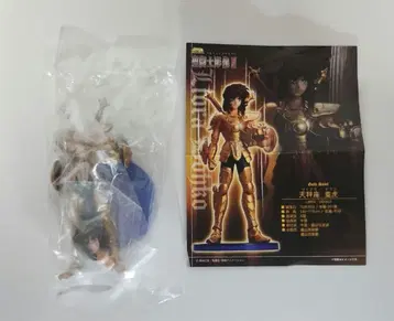 세인트 세이야 세인트 조상 III 세인트 아가르마 천칭자리 도코