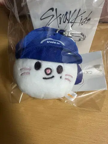 SKZ KARMA POPUP 공 캡 러쉬 키링 지니렛