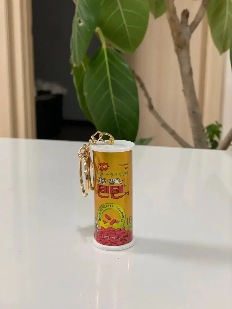 Ten Ten Keyring Limited Edition (Super Rare!!) #텐텐,#텐텐키링,#키링,#수험생 on  Bunjang Global Site.