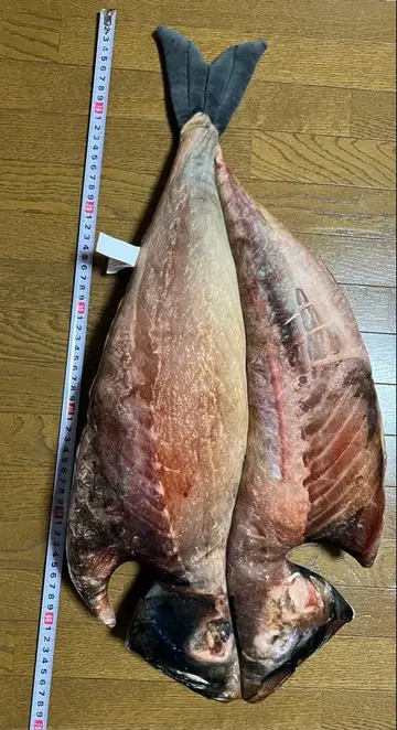 이토 마린타운 한정판 전갱이 구이 복권 2등