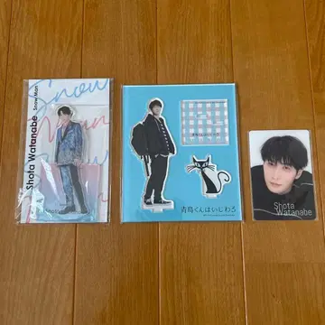 SnowMan 와타나베 쇼타 아크릴 스탠드 2개 치라미 카드