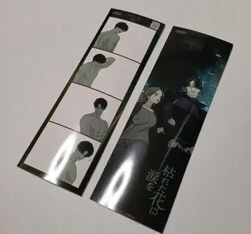 사진 프레임 시든 꽃에 눈물 한국