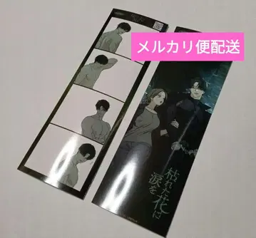 사진 시든 꽃에 눈물을 한국