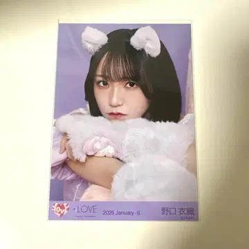 =LOVE 이코라브 노구치 이오리 7주년 고양이 의상 브로마이드
