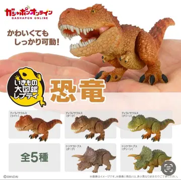 생물대도감 쁘띠 공룡 컴프세트 덤 포함 온라인