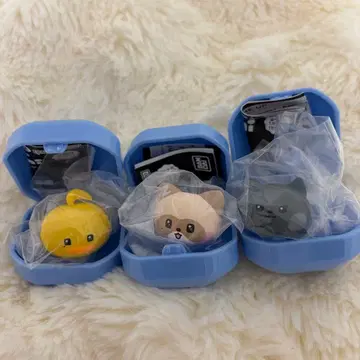 zeroni 퐁퐁 반지 하니니 운니니 테니니 하오 지운 텔레zeroni