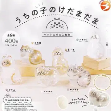 우리 아이의 털뭉치 전 6종 세트