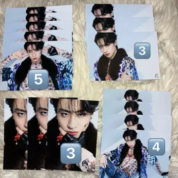 용궁성 OSIBAI 사진 Ray 컴프 장미