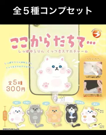 여기서부터 시작해 붙는 스마트폰 참 전 5종 컴프 세트