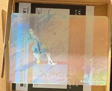 [ 가격 인하 불가 ] 프로세카 쿠사나기 네네 노블 아트