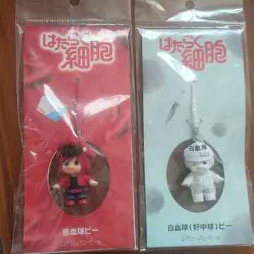 일하는 세포 적혈구 P, 백혈구 P