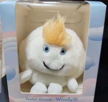 후지이 카제 윈디짱