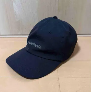 파타고니아 캡