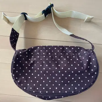 THE NORTH FACE 브라운 도트 숄더백