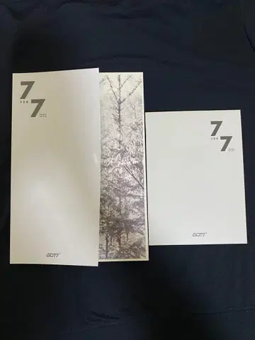 GOT7 7FOR7 PRESENT EDITION 앨범 MARK