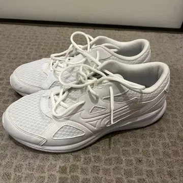 미즈노 운동화