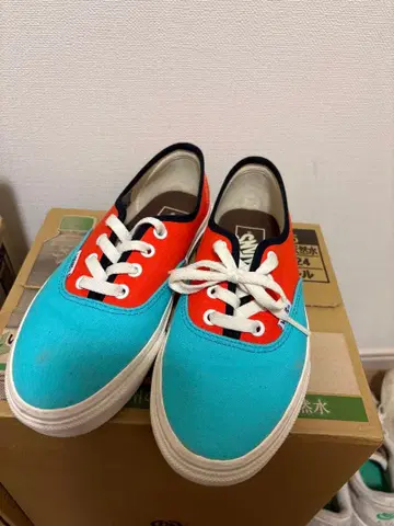 VANS ALL GOOD FLOWERS 오센틱 authentic