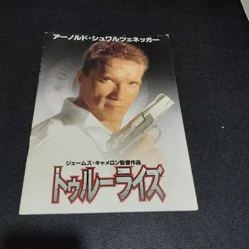 트루 라이즈 팜플렛