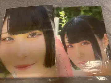 앳홈카페 썸머태스페트리 플럼