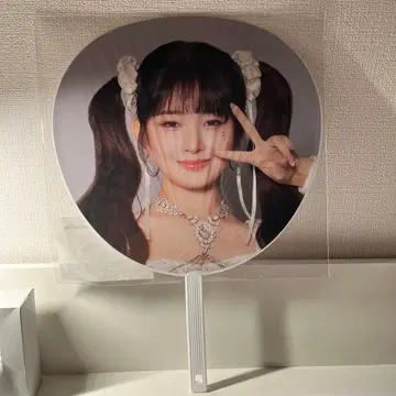 IVE 레이 도쿄돔 부채