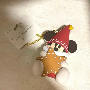 도쿄 디즈니 리조트 크리스마스 리루린린 백참