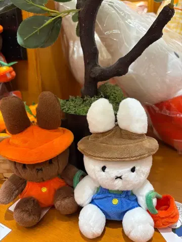 제주도 한정 미피 세트 판매