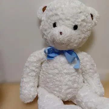 familiar 봉제 인형 곰 화이트 전체 길이 60cm