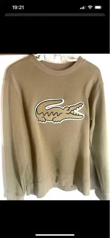 LACOSTE 카키 트레이닝복