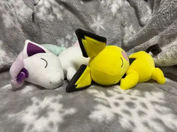 포켓몬 쌔근쌔근 프렌드 2체 세트